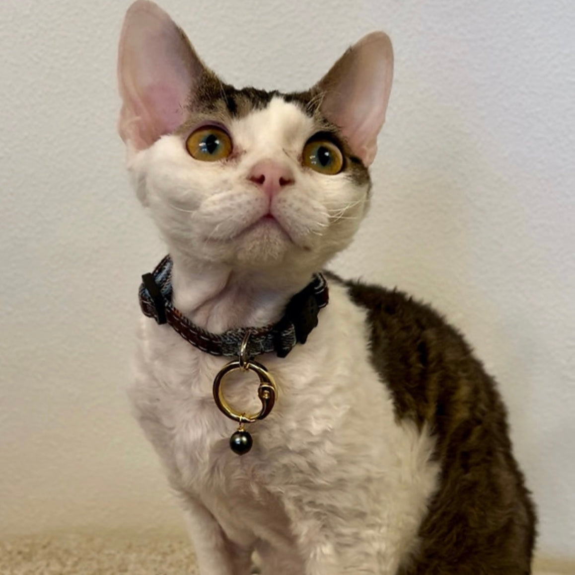 Hana’s Pearl